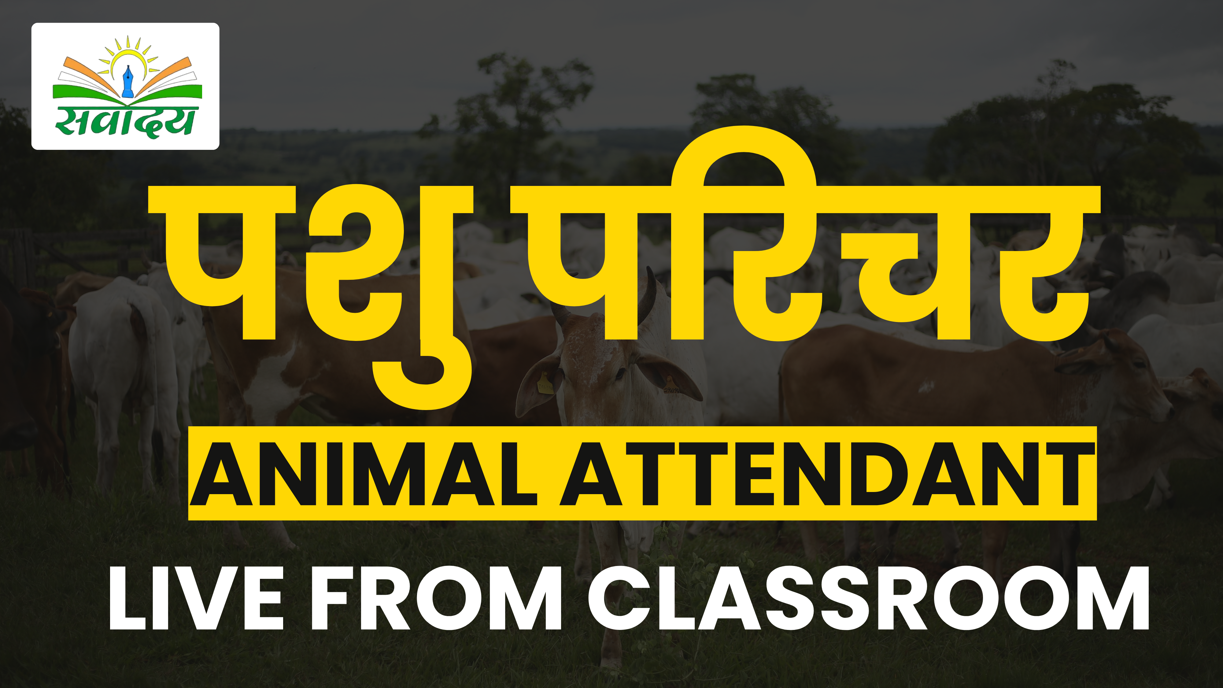 पशु परिचर