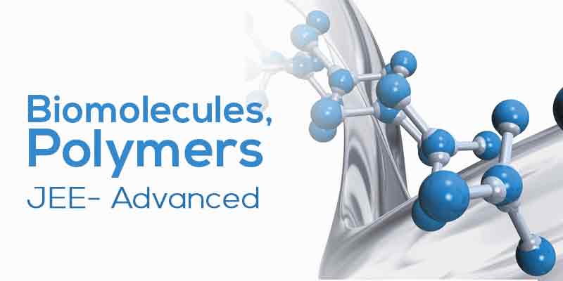 Biomolecules & Polymer Chemistry (Old White Board Lectures)