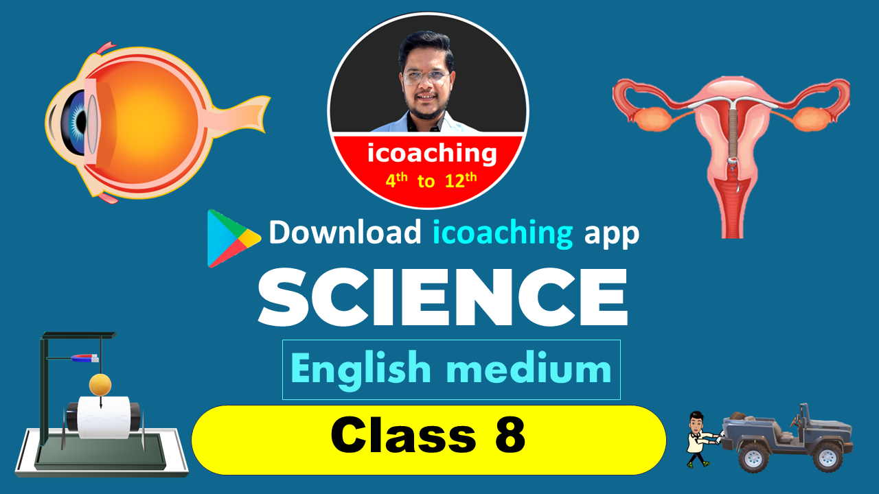 class 8 maths and science english medium