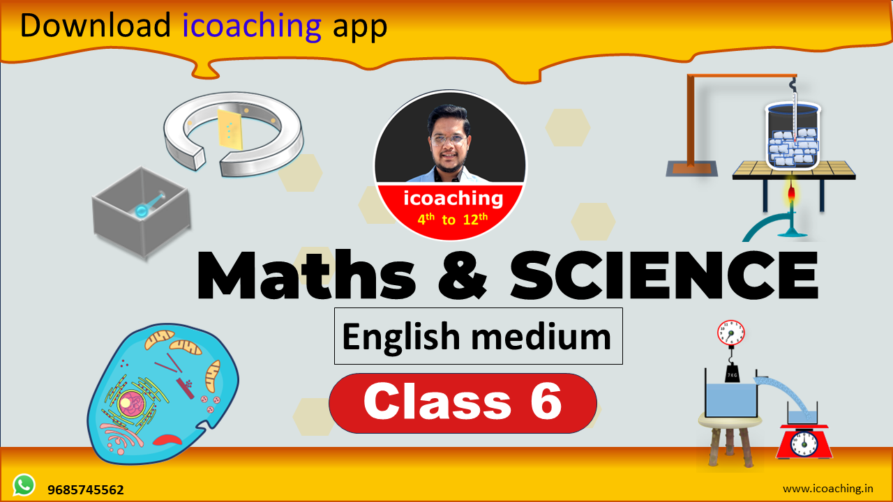 class 6 maths and science english medium