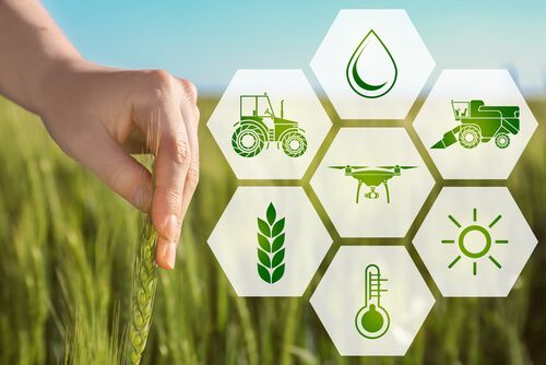 Agriculture Test