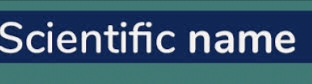 Scientific Names