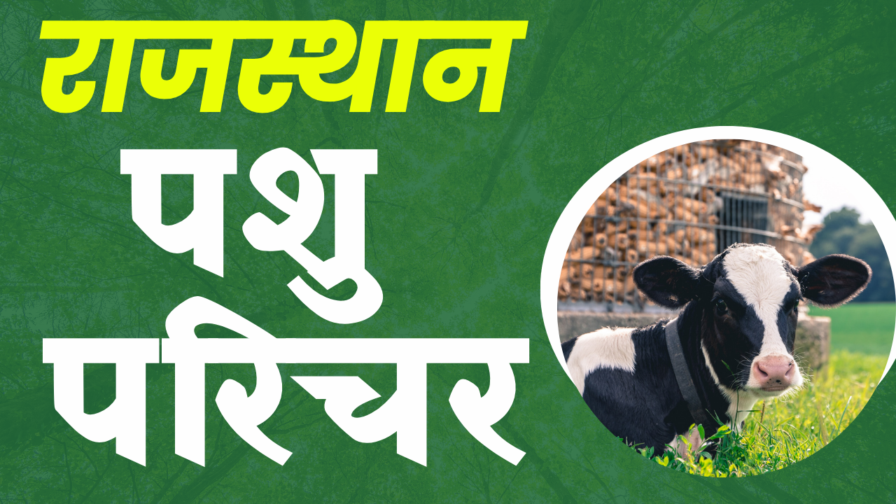 राजस्थान पशु परिचर - 2023 