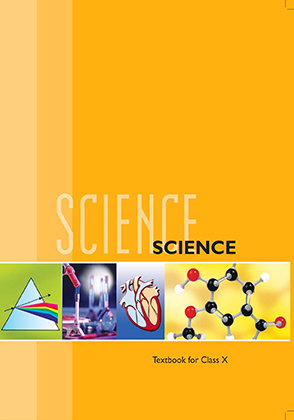 SCIENCE 10