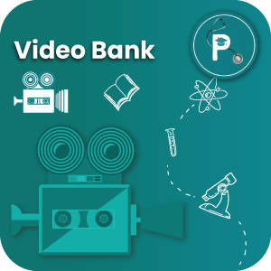 Video Bank