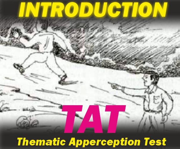 Thematic Apperception Test (TAT)