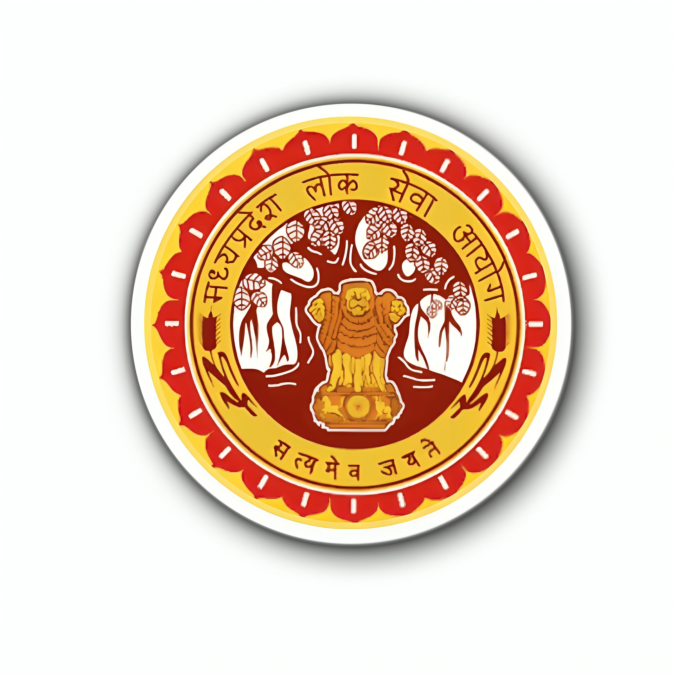 Forest Services 
