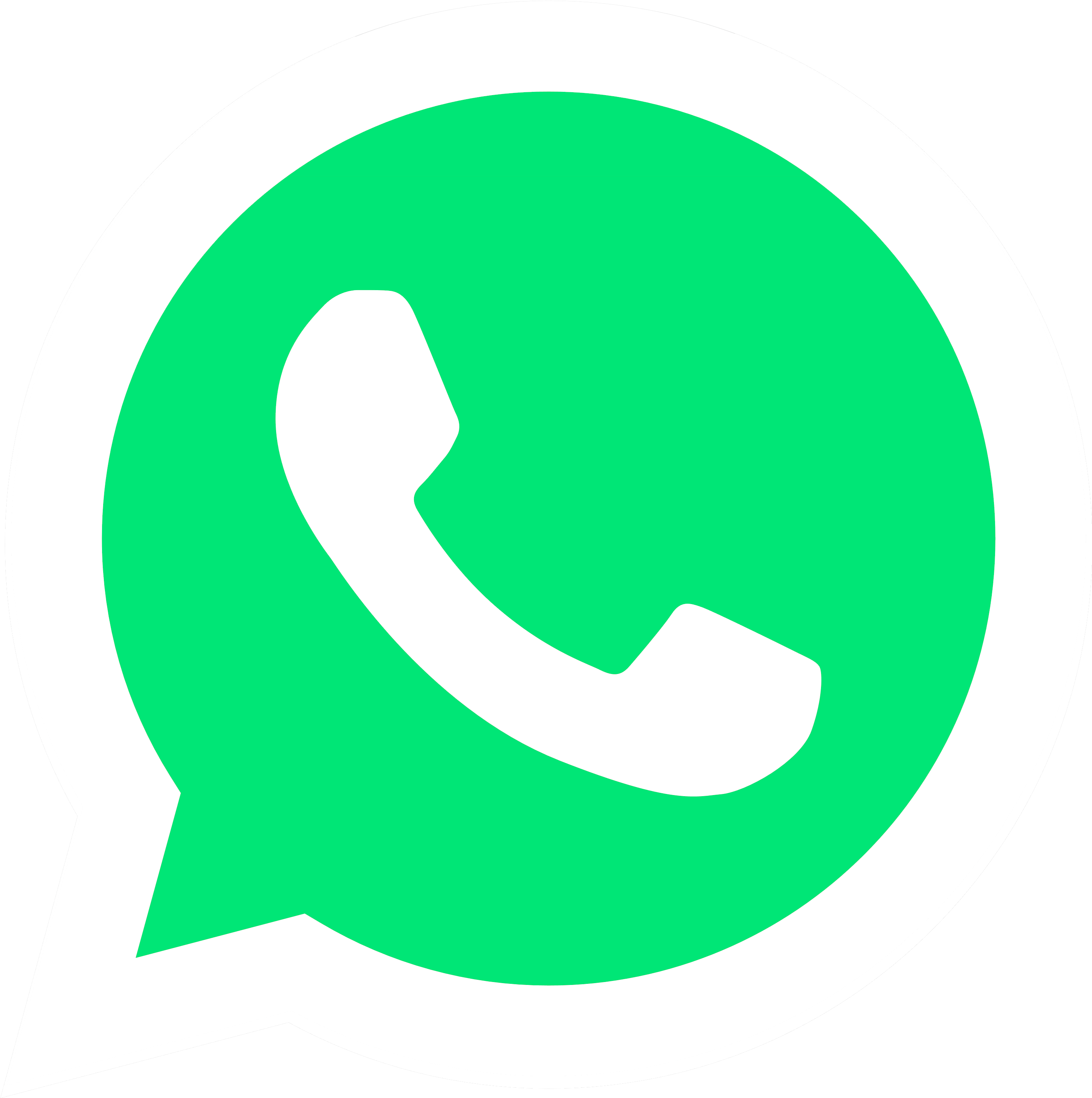 WhatsApp Group