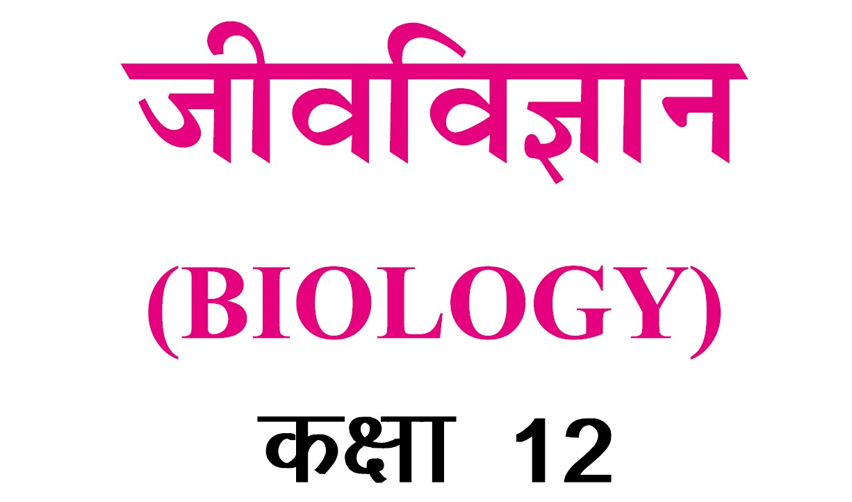 RBSE Class 12 Biology