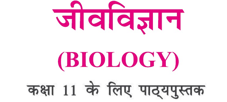 RBSE Class 11 Biology