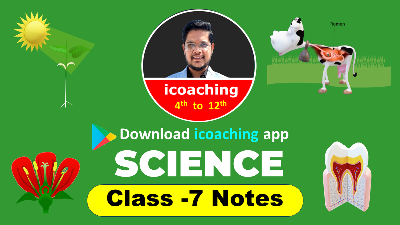 class 7 science colorful notes