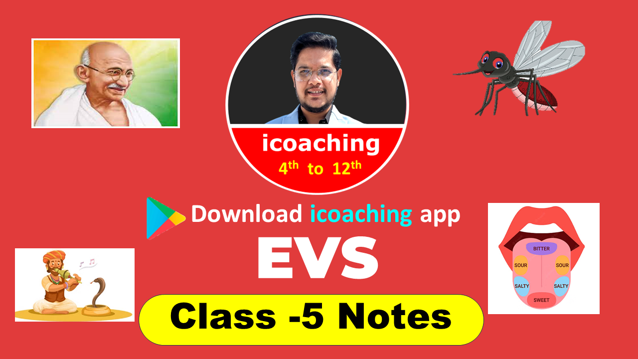 class 5 evs colorful notes