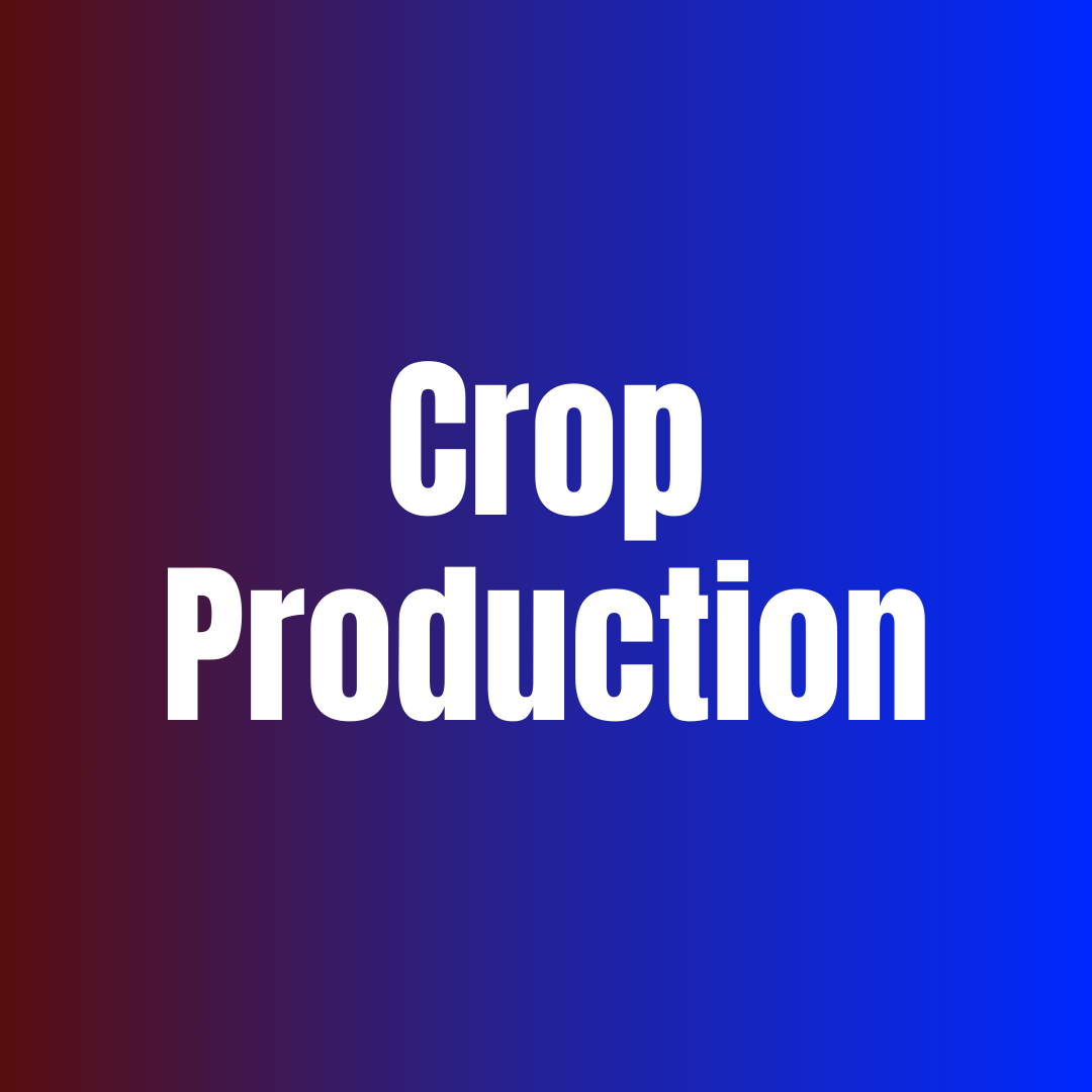 Crop Production