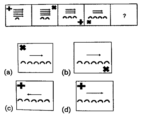 CHSL Mini Mock Reasoning (14 June 2024) 7