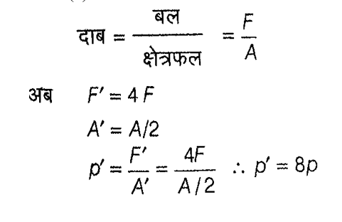 Polytechnic Mini Mock (11 June 2024) 1