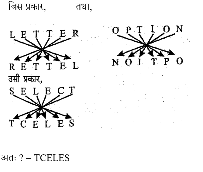 UP Police Computer Operator (16 June 2024) 1