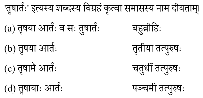 Ctet Level -2 (23 June 2024) 3