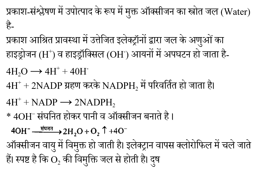 CTET Level -2 (23 June 2024) 1