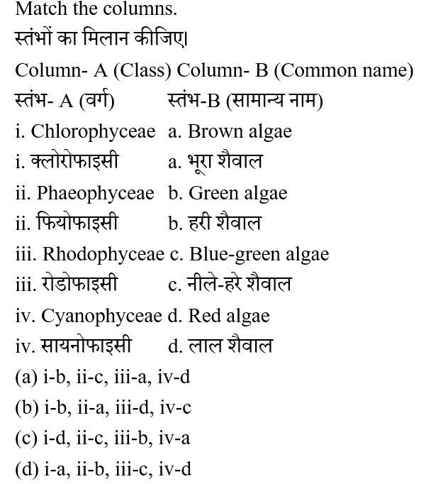 SSC CPO Tier 1 (23 June 2024) 1