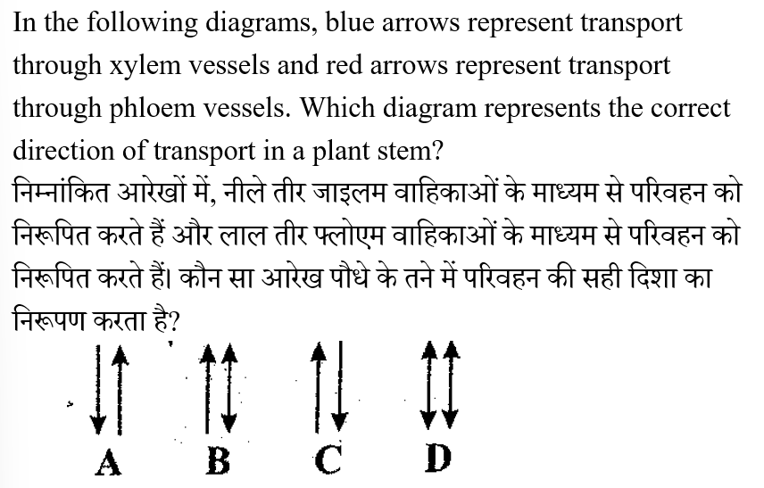 RRB Group D (30 June 2024) 2