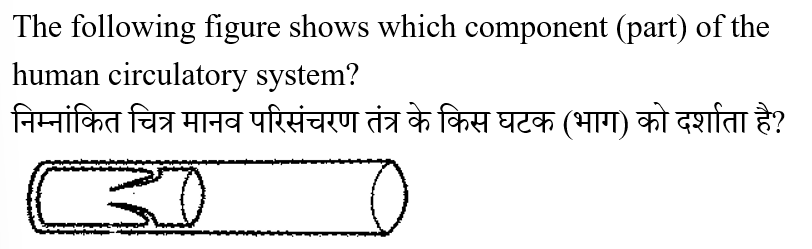 RRB Group D (30 June 2024) 6